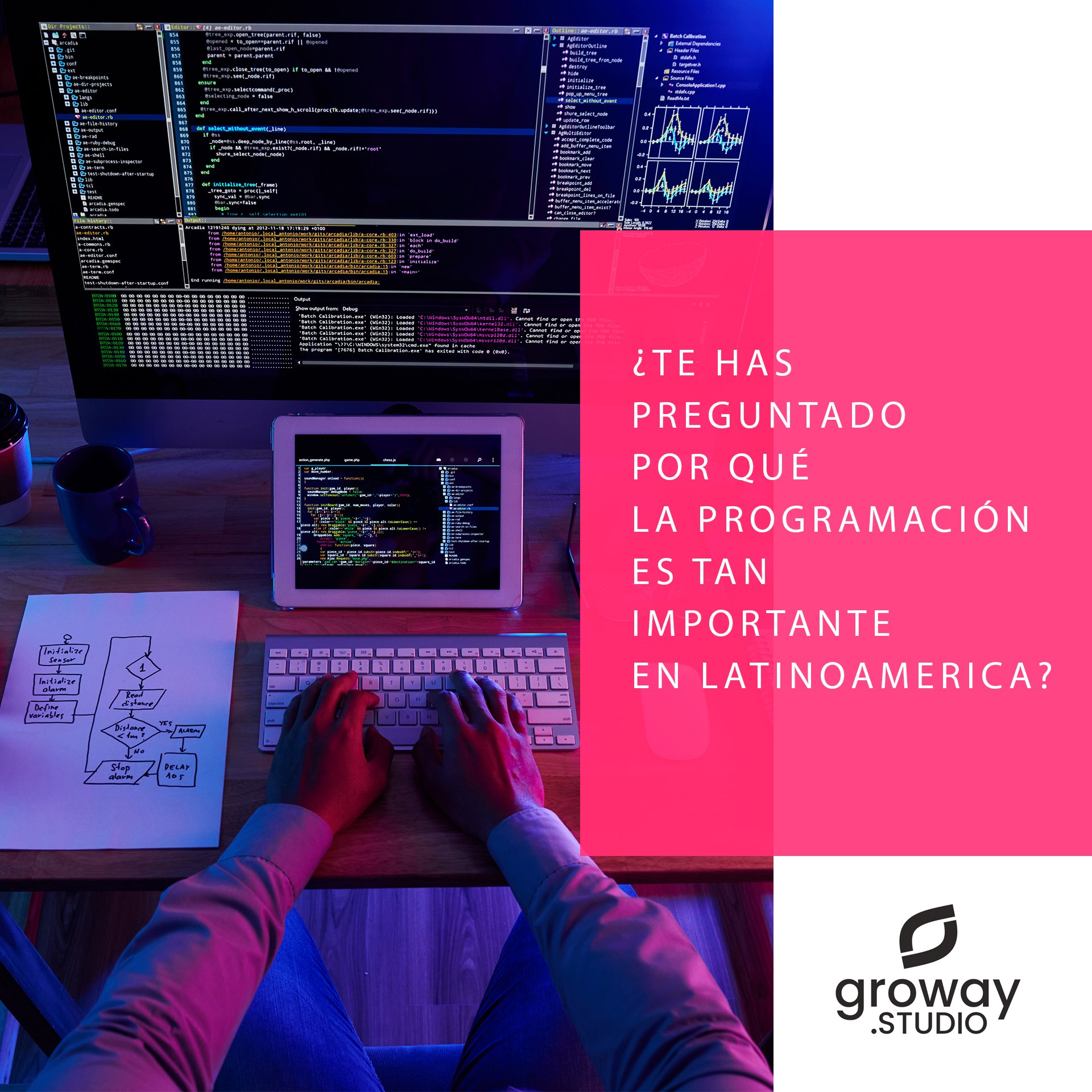 ¿Por que la programación es tan importante en Latinoamérica?